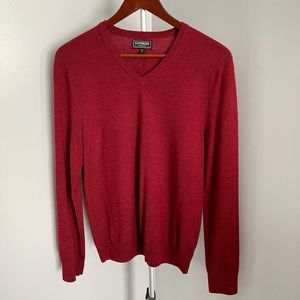 Express Merino Wool V-Neck Sweater
